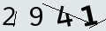 verifycode
